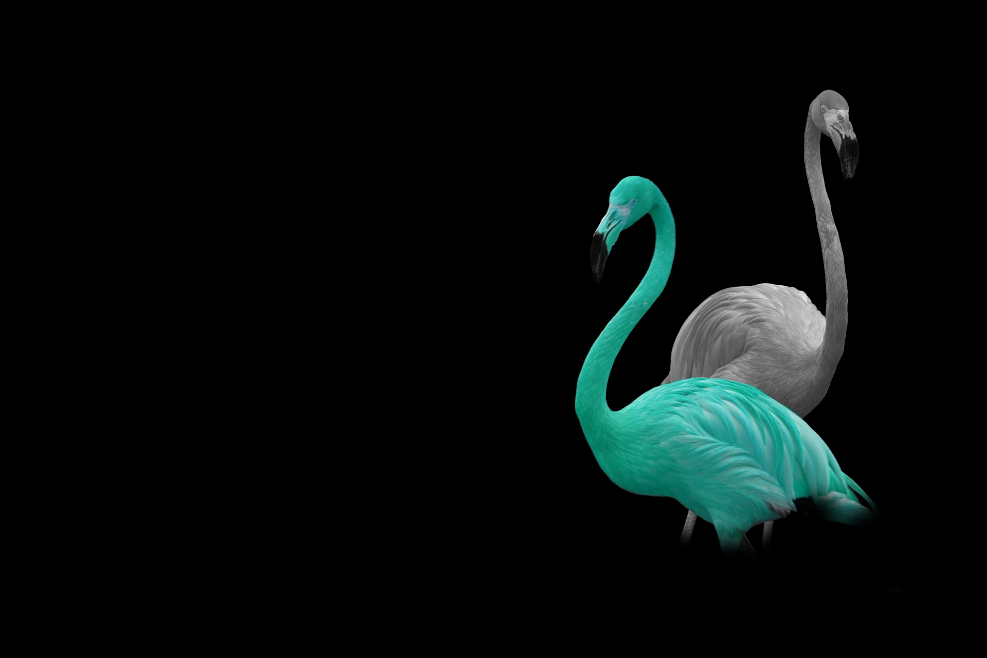 Two Flamingos for decoration - I love the 70s however these are not pink!  One is grey and the other is green.