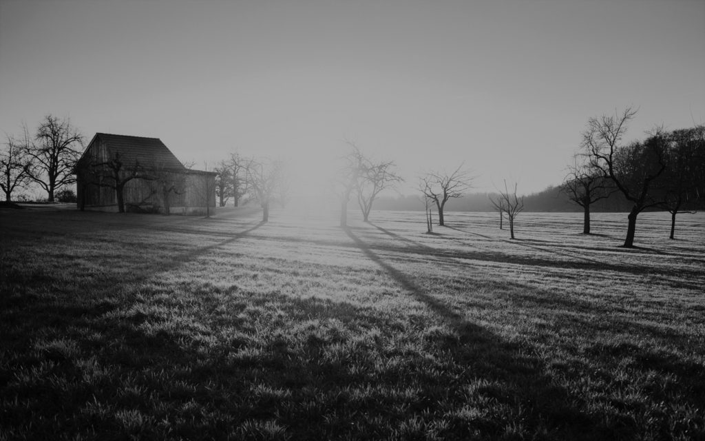 Black and white image of a field